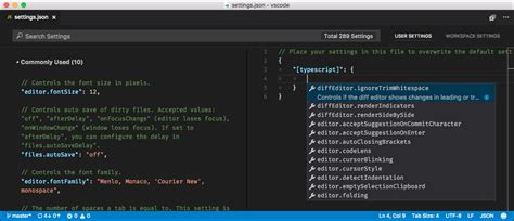 Setting Up Visual Studio Code 的图像结果