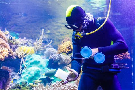 Marine Biology Salary Australia 2025 | What Marine Scientists Earn