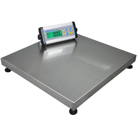 Floor Scales | Industrial Floor Scales & Platform Scales | Scales Plus