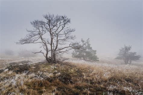Travel Photography: Where to Go in February | Learn Photography by Zoner Studio