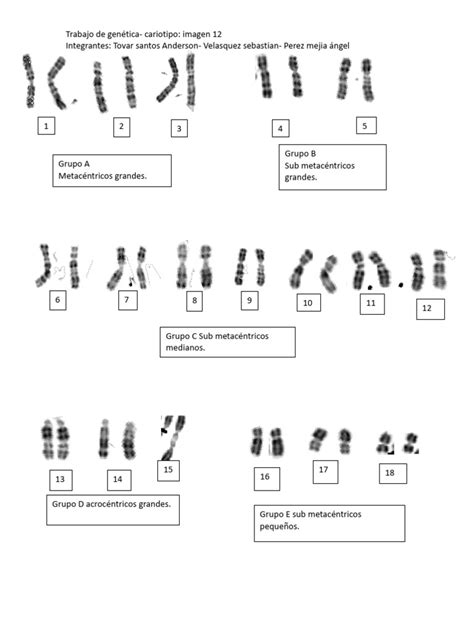 Image result for Research Code Sheet Example