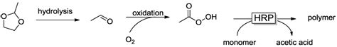 Enzyme Initiated Radical Polymerizations