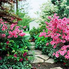 fiori di giardino fiori di primavera per qualsiasi giardino idee pratiche fiori di giardino fiori di primavera per qualsiasi giardino idee pratiche