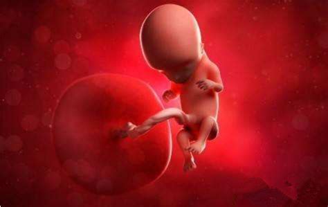 孕晚期胎儿缺氧有什么症状 什么时候胎儿容易缺氧 _八宝网