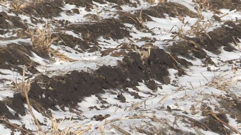 High water tables grow concern for planting season