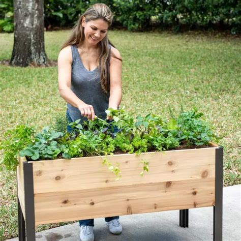 Building Raised Garden Beds: Materials, Methods, And Designs | Storables