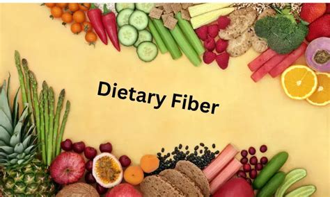 Dietary Fiber May Help Reduce Colorectal Cancer Risk Linked to Gut ...