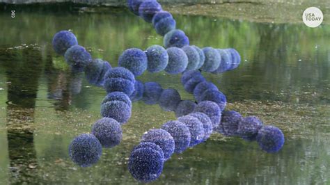 Flesh-eating bacteria: origins, symptoms and horrors