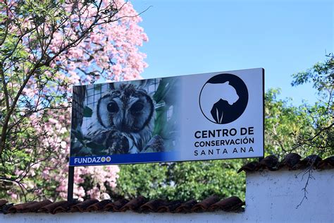 Gobierno oficializa la creación del Parque Lorne Ross Ashley en finca ...