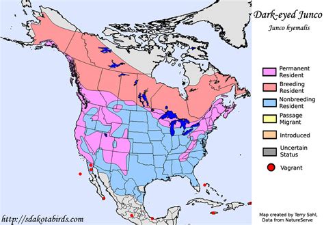 Image result for Beautiful Computer Map