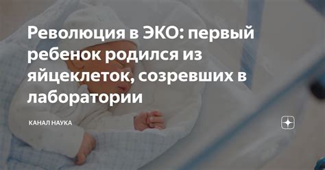Революция в ЭКО: первый ребенок родился из яйцеклеток, созревших в ...