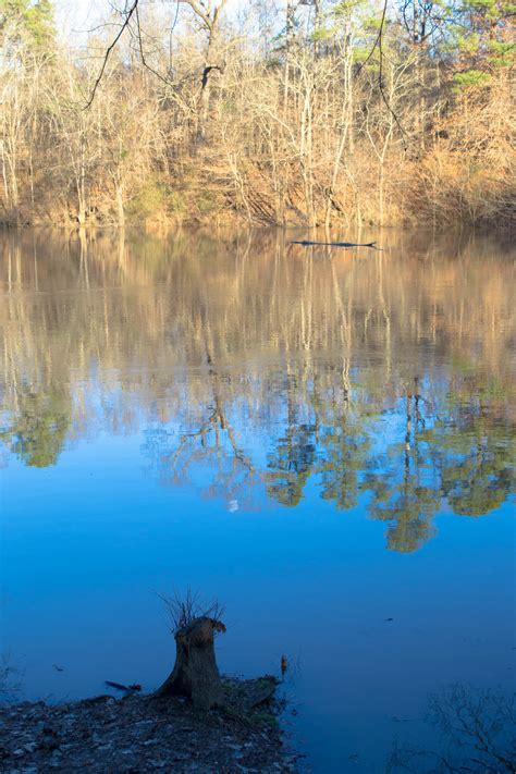 Elevation of Arnette Park, Wilmington Hwy, Fayetteville, NC, USA ...