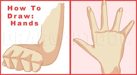 Image result for Anime Hand Tutorial