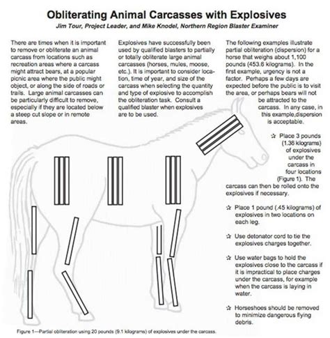 Image result for Exploding Zits On Animals