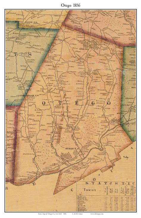 Otego, New York 1856 Old Town Map Custom Print - Otsego Co. - OLD MAPS