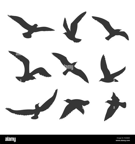 Flock Of Flying Birds Silhouette - silhouette of birds flying