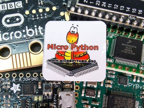 Image result for Difference Between Python and Micro