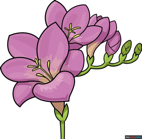 Image result for Step by Step Spring Drawing