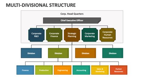 Divisional Structure Businesses Examples 的图像结果