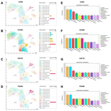 Identifying Aging-Related Biomarkers and Immune Infiltration Features ...