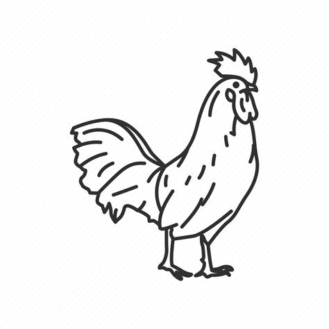 Birds, blue hen chicken, delaware, state, state birds, state symbol ...