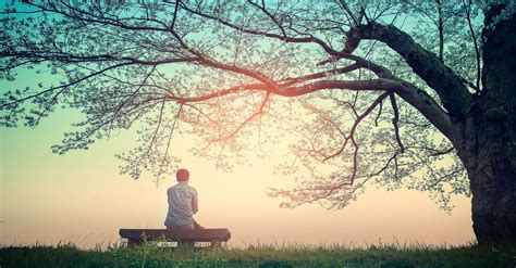 Nature Emerson 的图像结果