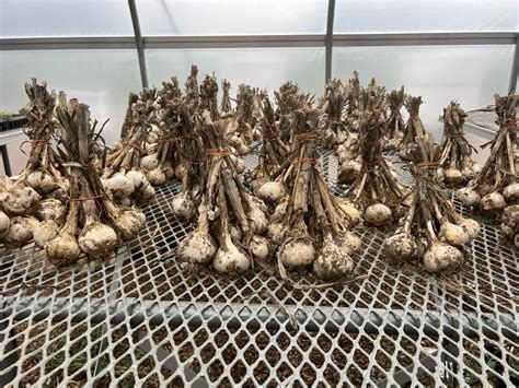 The Nashville Food Project: Changing the Way America Eats | Beyondish