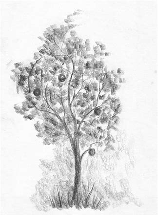 how to make a pencil drawing