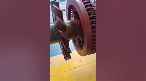 Image result for Moderm Rotter