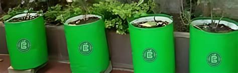 EDEN BLOOM - Green Grow Bag (18x18 inch) for Terrace Gardening Large ...