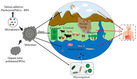 Biological Degradation of Plastics and Microplastics: A Recent ...