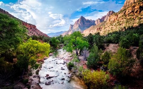 Nature View 的图像结果