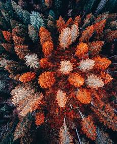 Fall Backgrounds Aesthetic Desktop by Fall Wallpaper Aesthetic Computer 3d Wallpapers Fall Backgrounds Aesthetic Desktop