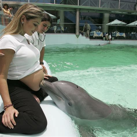 Birth Dolphin