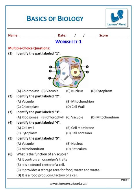 Science Basics for 6th Class 的图像结果