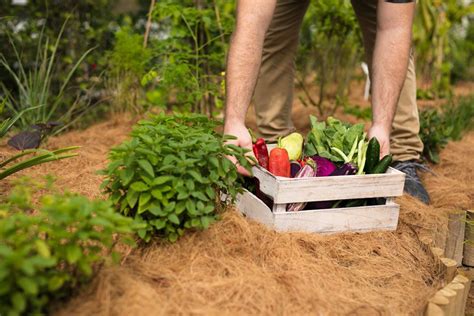 Farm-To-Table 的图像结果