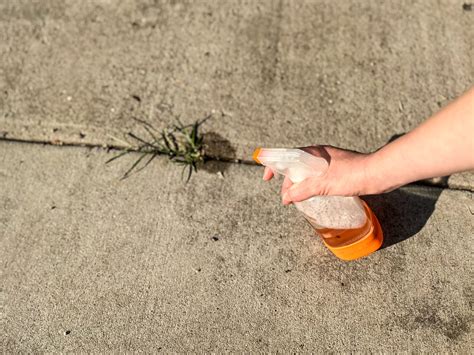 How to Make Weed Killer at Home That Works - Homemade Weed Killer