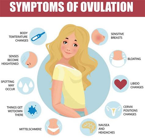 Ovulation, how to detect ovulation, symptoms of ovulation