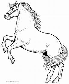 pferde malvorlagen gratis coloring pages for coloring pages for pferde malvorlagen gratis coloring pages for coloring pages for