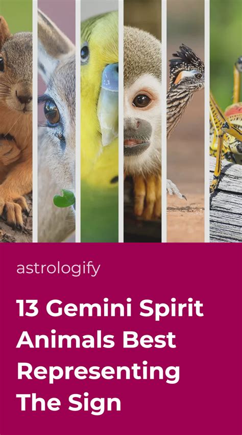 13 Gemini Spirit Animals Best Representing The Sign • Astrologify