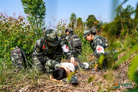 战场救护演练丨看卫勤人员保护自己营救战友 - 中国军网