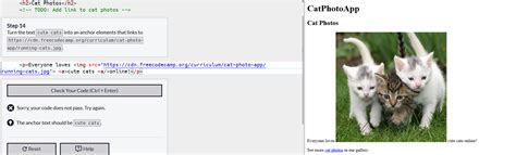 Image result for Freecodecamp HTML Step 6 Answer