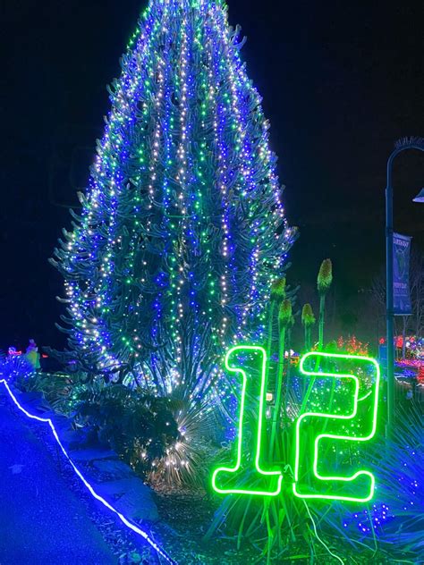 Zoo Lights at Point Defiance Zoo - Olivia Michelle