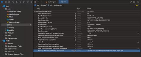 Xcode Camera Access Tutorial 的图像结果