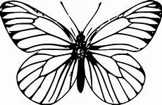 ausmalbild schmetterling tagpfauenauge kostenlose vektorgrafik schmetterling insekt tier ausmalbild schmetterling tagpfauenauge kostenlose vektorgrafik schmetterling insekt tier