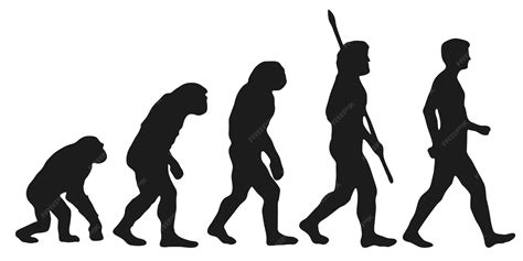 Evolution 的图像结果