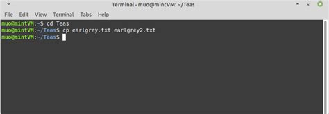 Image result for Copy Command Linux