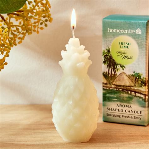 Buy Redolence Mojitos in Male Fresh Lime Scented Pillar Candle from ...