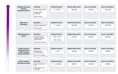 What Are The Different Levels Of Nursing In The USA? | Shiftmed Blog