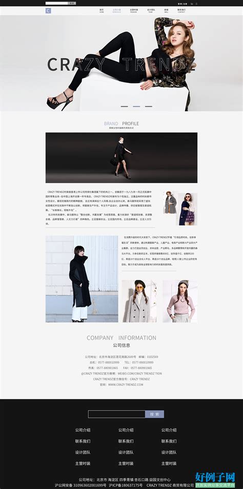 服装设计项目展示网站模板_站长素材